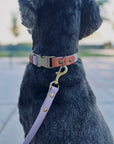 EMIL COLLAR TWO TONE | LAVENDER-BROWN