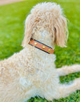 HEART COLLAR LAYERED FOR SMALL DOGS | BLACK-BROWN