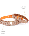 LOTTE Classic Collar | Light Brown