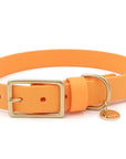 THEA CLASSIC COLLAR | ORANGE
