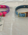 MEDIUM TO LARGE COLLARS  (